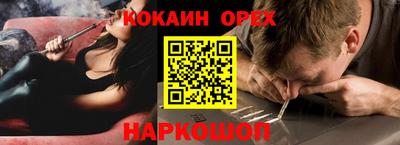 сатива Новозыбков