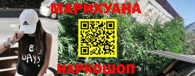 сатива Новозыбков