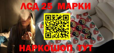 сатива Новозыбков