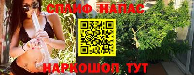 сатива Новозыбков