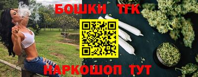 сатива Новозыбков