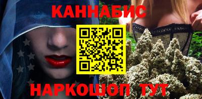 сатива Новозыбков