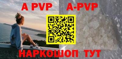 сатива Новозыбков
