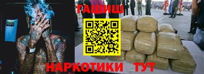 сатива Новозыбков